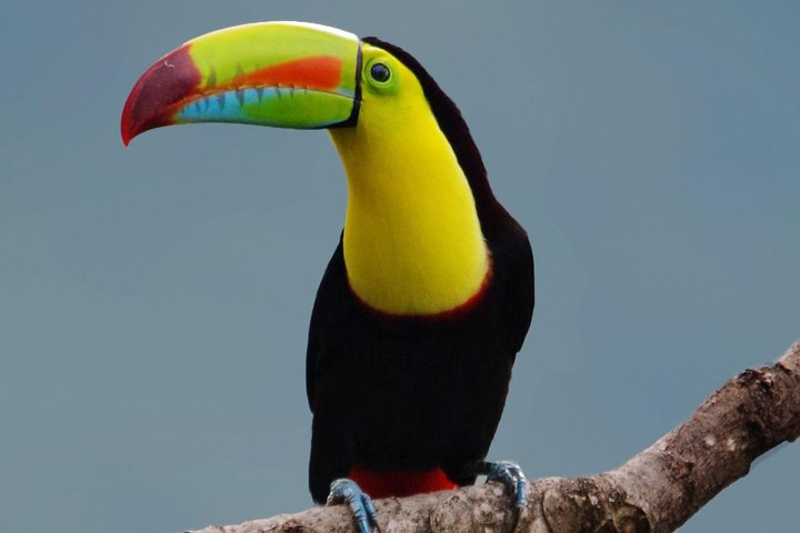 Hiking to Curi-Cancha Reserve - Photo 1 of 25